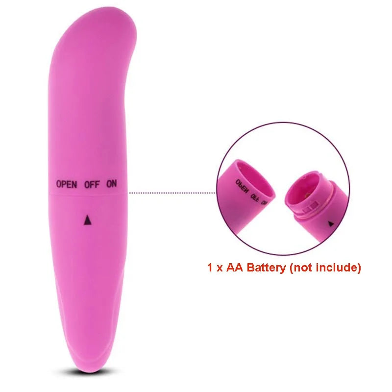 DOLPHIN G-Spot STROKER & POCKET BULLET